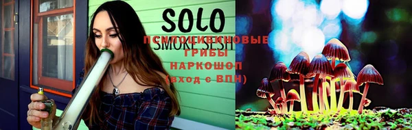 гидропоника Снежинск