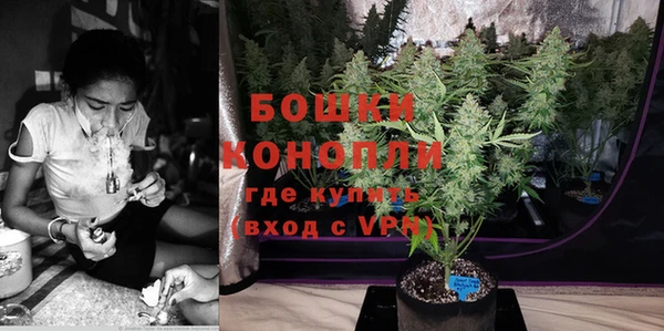 прущие грибы Снежногорск