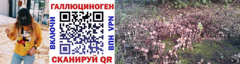 цена   Полтавская  Галлюциногенные грибы Psilocybe 